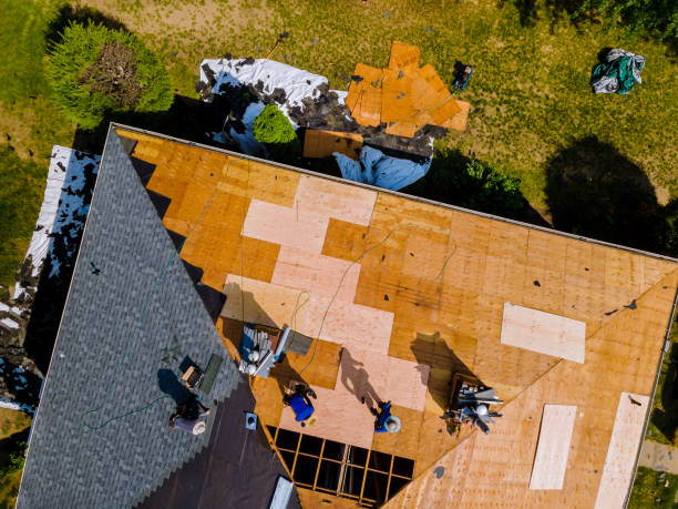 Best Storm Damage Roof Repair  in Nth Plains, OR